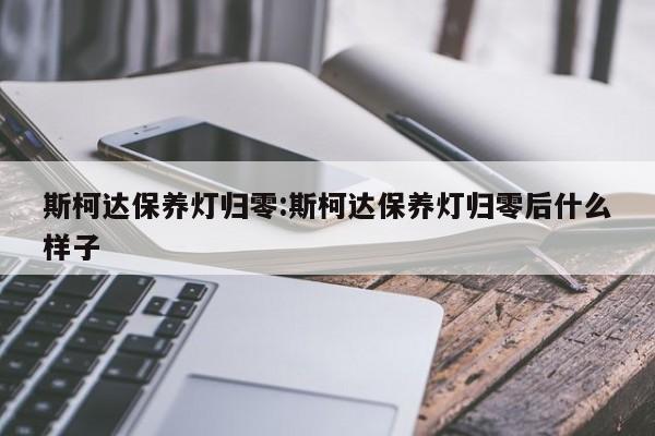 斯柯达保养灯归零：斯柯达保养灯归零后什么样子