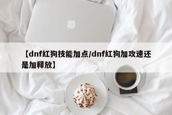 【dnf红狗技能加点／dnf红狗加攻速还是加释放】