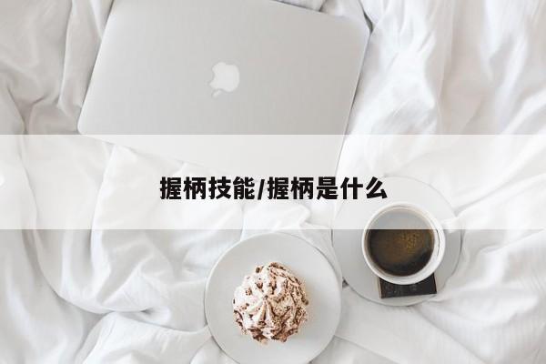 握柄技能／握柄是什么