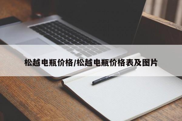 松越电瓶价格／松越电瓶价格表及图片