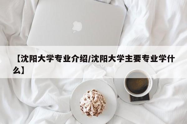 【沈阳大学专业介绍／沈阳大学主要专业学什么】