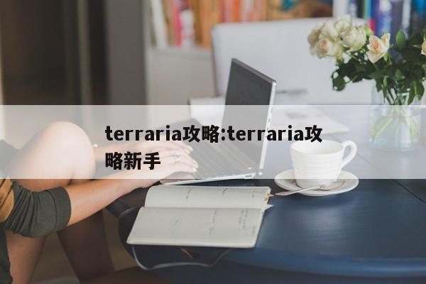 terraria攻略：terraria攻略新手