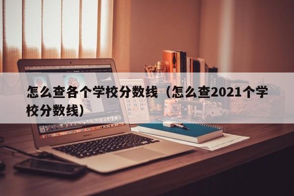 怎么查各个学校分数线（怎么查2021个学校分数线）